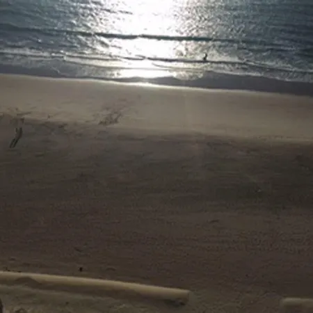 Sur La Plage- Ofir